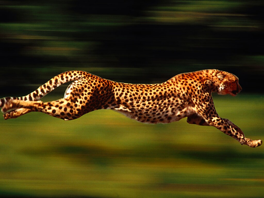Run